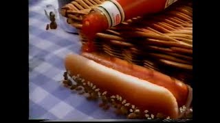 1991  Heinz Ketchup  Ant Family Picnic Commercial [upl. by Pember]