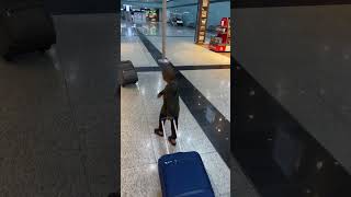 Madinah airport  viral song music [upl. by Tavy]