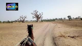 Paysage en Mai entre NGUÉNIÉNE et SANDIARA Voyage en chevalcharette [upl. by Khalin]