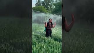 Wheat field backpack type adjustable pesticide automatic sprayer [upl. by Eanal]