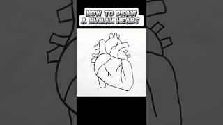 Heartfelt Art Tips and Tricks for Drawing the Perfect Human Heart shorts [upl. by Venu]