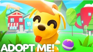 All Secret Adopt Me Codes  Codes for Adopt Me Roblox 2024 [upl. by Vita]