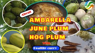 About Ambarella  Hog plum  June plum  How to cook healthy ambarella curry at home [upl. by Gabriell]