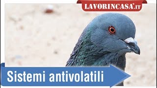 Sistemi antivolatili [upl. by Radke]