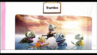 Astragen Class1st standard English TURTLES Chapter4 Rhyme  Poem [upl. by Wong]