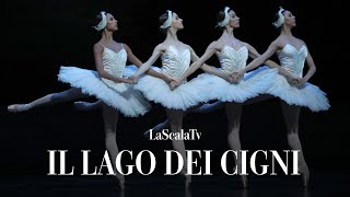 Il lago dei cigni  Danza dei piccoli cigni Teatro alla Scala [upl. by Hendrika930]