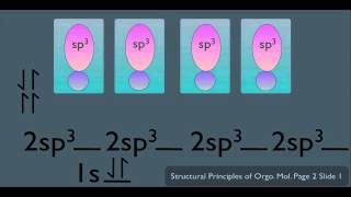 sp3 Hybridization Organic Chemistry [upl. by Eisler]