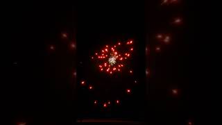 Scala 8 con controbomba by PiroSud fireworks fwsim bomb italy [upl. by Harwill]