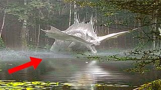 ☠️Ils ont Filmé Cela dans La Foret Amazonienne🐊et Personne ny Croisdécouvertes amazonie animaux [upl. by Mackintosh598]