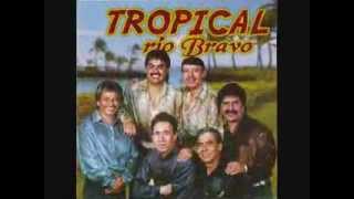 Ave Pave  TROPICAL RIO BRAVO [upl. by Yewed]