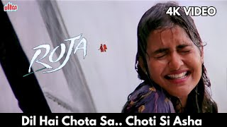 Dil Hai Chota Sa Choti Si Asha  4K Video Song Hindi  Roja 1992  AR Rahman Superhit Song Madhoo [upl. by Aikemit]