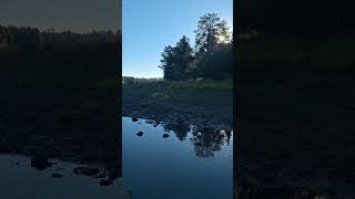 Kaibab Lake July 5th 2024 Located In Williams AZ Very peaceful morning at the lake [upl. by Austen103]