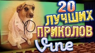 Лучшие Приколы Vine ВЫПУСК 27 17 [upl. by Gamages414]