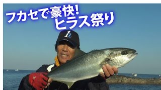 長崎県野母三ツ瀬② 止まらない青の激走 フカセで豪快！ヒラス祭り～田中義一～ [upl. by Anahsirk]