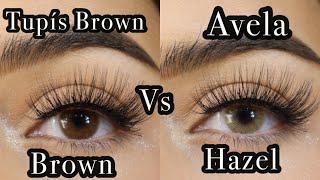 Solotica TUPÍS BROWN VS HIDROCOR AVELA The most natural brown shades [upl. by Natsuj]