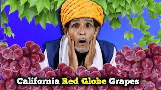 Villagers Try American Red Globe Grapes  Tribal People Try California Red Globe Grapes [upl. by Sewell]