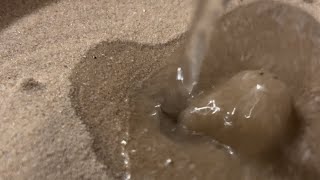 Wet Sand Spoonfuls [upl. by Emyaj860]