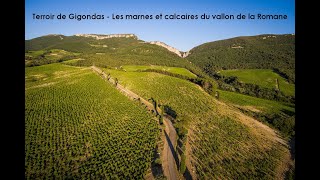 Terroir de Gigondas les marnes et calcaires du vallon de la Romane [upl. by Ykcin]