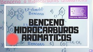 Nomenclatura benceno o hidrocarburos aromáticos  Química Orgánica [upl. by Nonad]