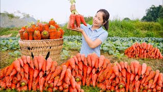 Harvesting Carrot Garden Goes To The Market Sell  Gardening and Animal Care  Hanna Daily Life [upl. by Shelburne]