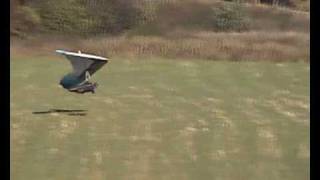 Hang glider ground skimming [upl. by Leagiba645]