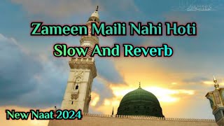 Zameen Maili Nahi Hoti  Slowed  Reverb  New Naat 2024  ImamMahdiVoice [upl. by Tnecniv872]