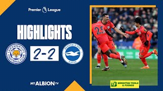 PL Highlights Leicester 2 Albion 2 [upl. by Ramsay]