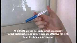 Effective Gel Baiting for Cockroaches amp Ants by ORIGIN Exterminators [upl. by Perron]