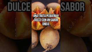 8 Frutas Mexicanas Sorprendentes y Nutritivas mexicolindo frutas frutasnutritivas [upl. by Jenkel336]