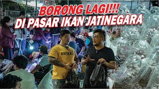 GREBEK BORONG  PASAR IKAN JATINEGARA KONDISI BANJIR JAKARTA PUN PENUH SESAK PEMBELI GUYS [upl. by Hainahpez31]