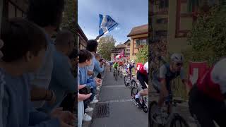 Mondiali ciclismo Zurigo 2024 pogacar mindiali zürich cycling [upl. by Idnam]