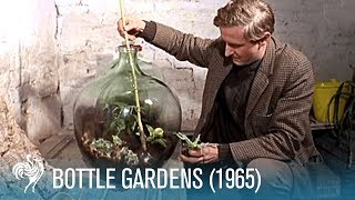 Bottle Gardens 1965  British Pathé [upl. by Richie]