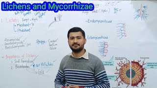 82 Lichens and Mycorrhizae  Endomycorrhizae and Ectomycorrhizae Fsc biology class 11 [upl. by Hartzke355]