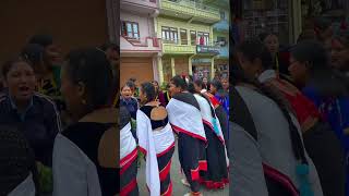 Gai jatra 2081  gai jatra shortvideo gaijatra tiktok [upl. by Neva]