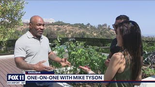 Mike Tyson speaks on launching cannabis company Tyson Ranch [upl. by Lat]