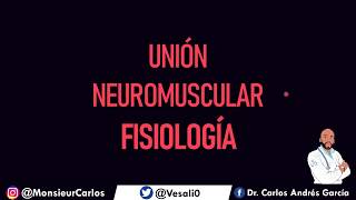 Fisiología  Union Neuromuscular Liberación y Secuestro de Acetilcolina [upl. by Dayir]