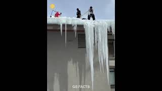 Icicles – A Deadly Winter Hazard shorts ytshorts facts [upl. by Loeb215]