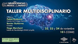 Las neurociencias en México y el mundo taller multidisciplinario [upl. by Leaffar]