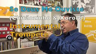 Se Deus Me Ouvisse Chitãozinho amp Xororó Instrumental Trompete [upl. by Story386]