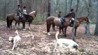 Belle Meade Hunt Tour [upl. by Mcnelly32]