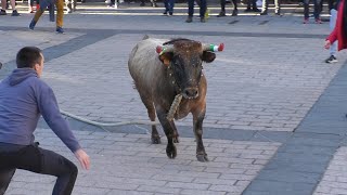 AZPEITIKO SOKAMUTURRA  Bergarako Zezenak 21012024 [upl. by Adlay]