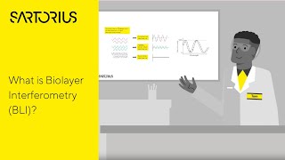 Biolayer Interferometry BLI  The Biophysics behind the BLI Technology Explained [upl. by Anelis]