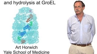 Arthur Horwich YaleHHMI Part 2 The role of ATP binding and hydrolysis at GroEL [upl. by Haven]