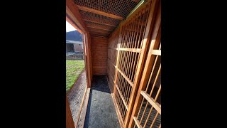 The Dos and Donts of Pigeon Loft Design [upl. by Lenahtan669]