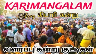 karimangalam market Jersey cow price details காரிமங்கலம் மாட்டு சந்தை தருமபுரி மாவட்டம் [upl. by Notserk]