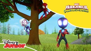 🕷 O spărtură în baraj  Păienjenelul Marvel și prietenii lui uimitori  Disney Junior România [upl. by Dicky249]