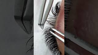 Lash Extension Effect Achieve the Doll Look lashextension [upl. by Floeter]