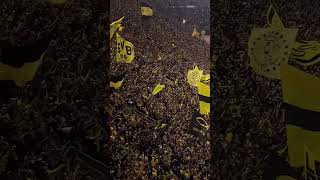 Borussia Dortmund fans are always at the stadium to support their team bundesliga football [upl. by Ykroc]