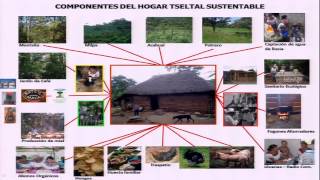 Professor Miguel Altieri  Agroecology and Climate Change [upl. by Geno]