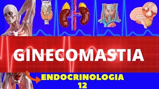 GINECOMASTIA CAUSAS SINTOMAS DIAGNÓSTICO E TRATAMENTO  ENDOCRINOLOGIA [upl. by Aseram]